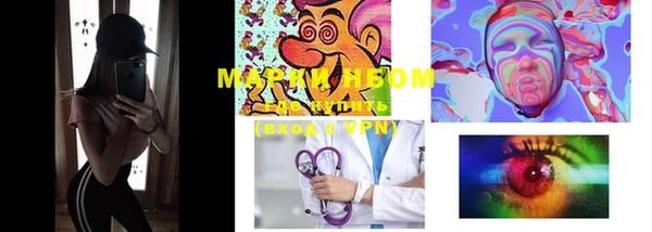 PSILOCYBIN Ельня