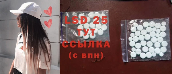 PSILOCYBIN Ельня