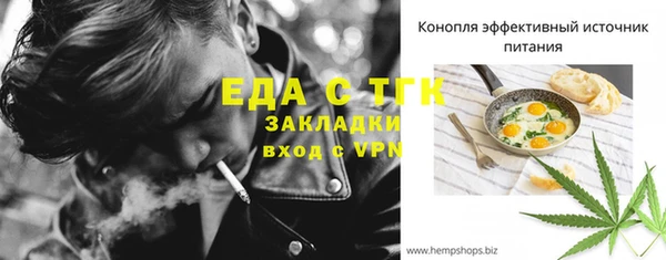PSILOCYBIN Ельня