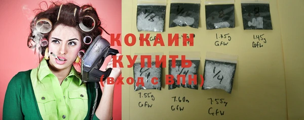 PSILOCYBIN Ельня