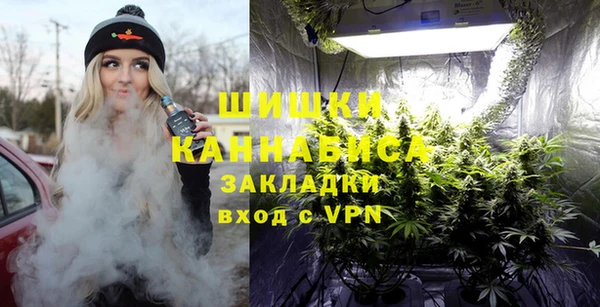 PSILOCYBIN Ельня