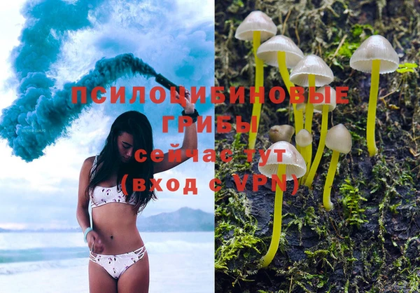 PSILOCYBIN Ельня