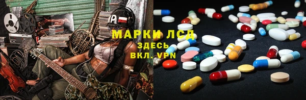 PSILOCYBIN Ельня