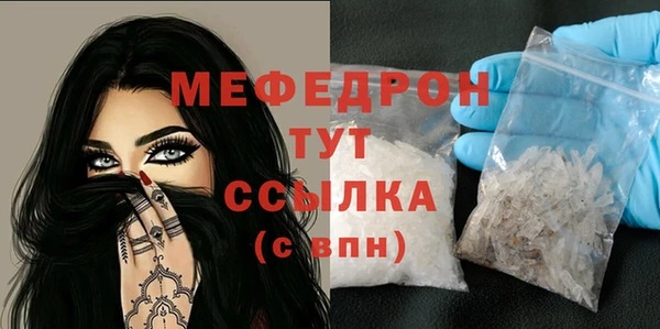 PSILOCYBIN Ельня