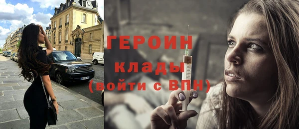 PSILOCYBIN Ельня